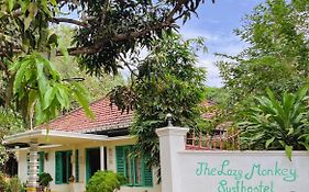 Lazy Monkey Surfhostel - Sri Lanka
