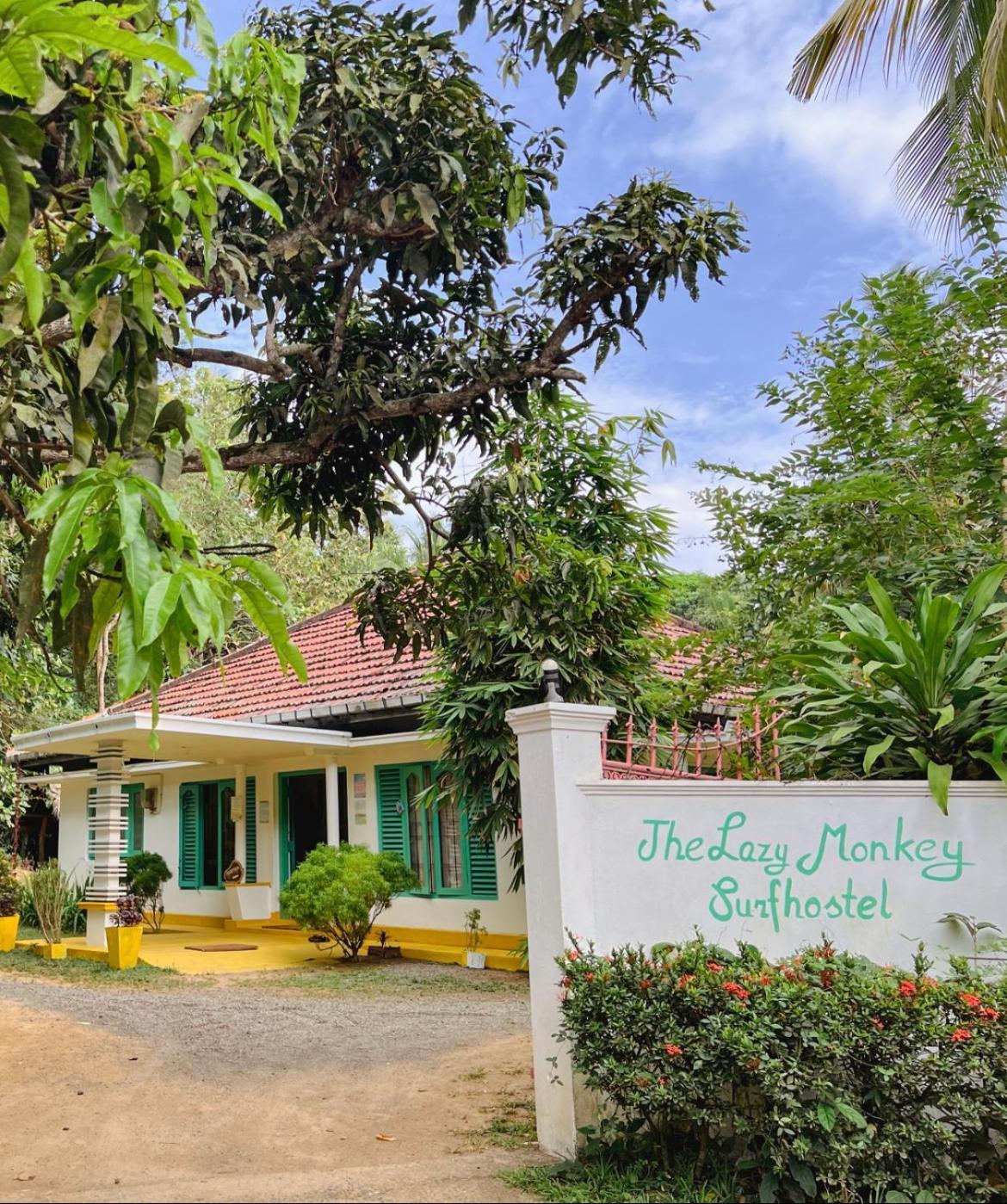 Lazy Monkey Surfhostel - Sri Lanka Dickwella Exterior photo