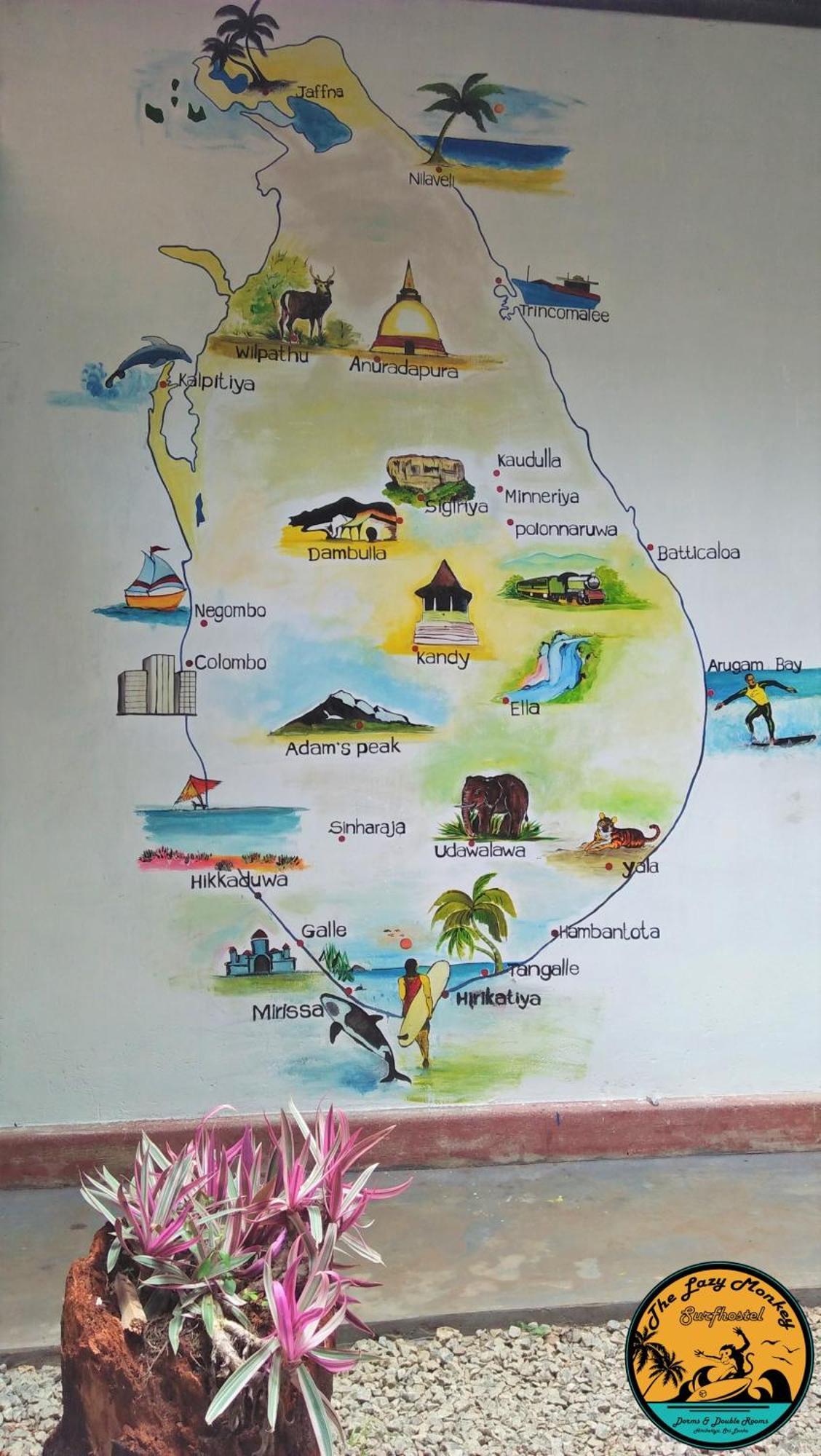 Lazy Monkey Surfhostel - Sri Lanka Dickwella Exterior photo